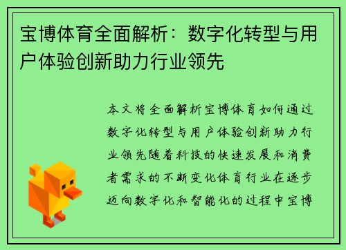 宝博体育全面解析：数字化转型与用户体验创新助力行业领先